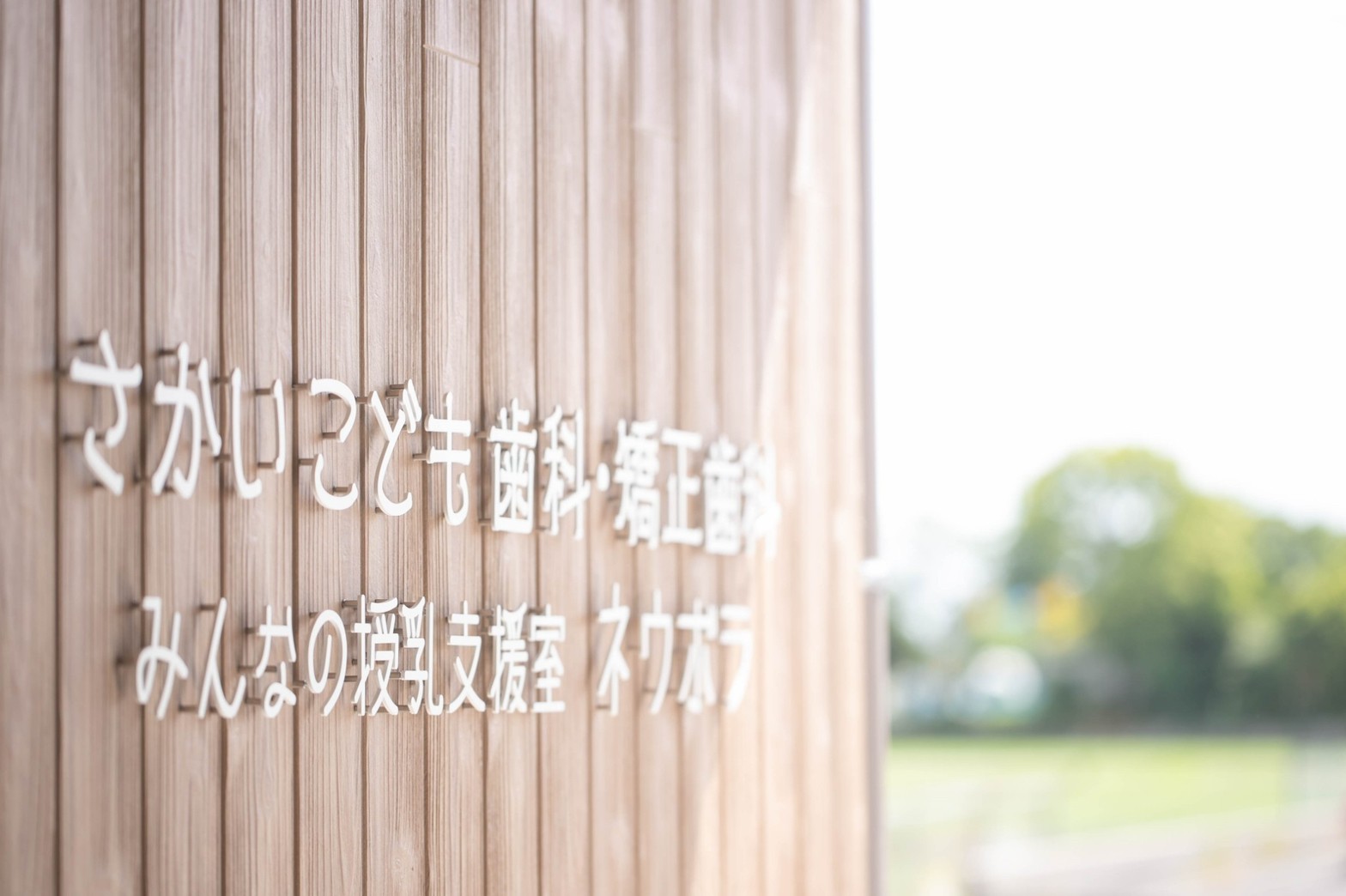 ☆臨時休診のお知らせ☆ | その他